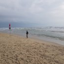 비밀의 사원 이미지