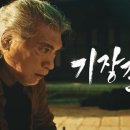 청춘갈매기 이미지