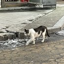 라우드뮤직스페이스 | 개강하다