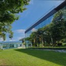 몬스마리 이미지