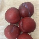 양정24시약국 이미지