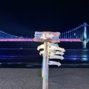 젤라떼리아사우스브룩 이미지