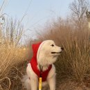 딩가PC방 이미지