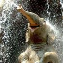 책놀이 지도사 3급 이미지