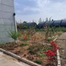 죠이월드 이미지