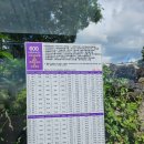 서귀포르투 이미지