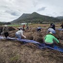 금산군청