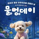 아쿠아데이 네이버블로그