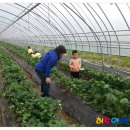 입암초교병설유치원 이미지