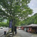 금산개구리 | [내돈내산] 대구 칠곡 계곡식당 - 금화계곡 자락에 있는 금화식당