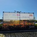 연천명소코스 | [공지] [경기/연천] 임진강 댑싸리정원 2025 | 개장기간·입장료·먹거리 후기 총정리