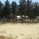 트리플펜션&글램핑 이미지