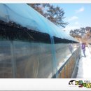 비타민 흑염소농장 이미지