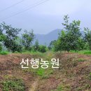 선행농원 이미지