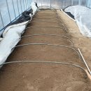 2025년 고추가루 예약 받습니다 이미지