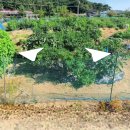 키다리부동산공인중개사사무소 이미지