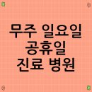 무주군보건의료원 건강증진센터 | 무주 일요일 공휴일 진료 병원