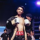 용인대SM복싱클럽 장기점 이미지