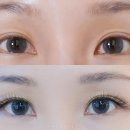 루루앤아이래쉬 | 강남역속눈썹 잘하는 루루앤아이래쉬 후기!