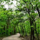 와선대화장실 이미지