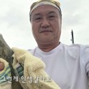 여름아 이제 그만 가라. 이미지