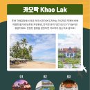 모어스테이 네이버블로그