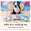 비트덴탈 | 로렌츠 못난이과일껌 사과비트 블루베리 딸기 강아지치석제거껌 급여 후기