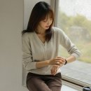 폭스 이미지