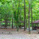 고산자연휴양림 이미지