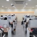 스터디독스쿨 이미지