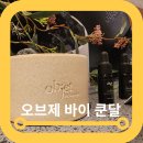 호텔 오브제 | 오브제바이쿤달 메이필드호텔 로얄마일 카페 라운지 방문후기