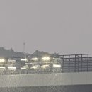 삼성) 이번 가을야구 비 진짜 지긋지긋해요 ㅠㅠ 이미지