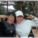 수영마대 Daum카페