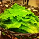 미금축산 이미지