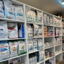 동물병원 움 이미지