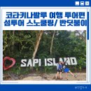 노니노니 | 코타키나발루 투어 후기 :: 스노쿨링 섬투어 , 반딧불 추천