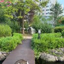 츄르한입 이미지