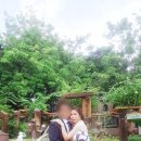 CP커플국제결혼 이미지