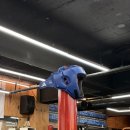 용인대SM복싱클럽 | [천호] 용인대 SM 복싱 클럽 천호점