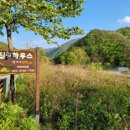 터좋은 황토하우스 | [상주펜션] 속리산펜션 찾으신다면 조경이 예쁜 문장대힐링하우스 가족펜션으로 완벽해요