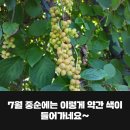 자향농장 이미지