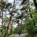 청량학동길 네이버블로그