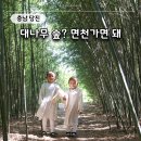 바람길 - 중랑구 망우로 332 | 당진 대숲바람길 주차 애견동반 여행지 후기