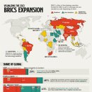 BRICS 확장을 4가지 차트로 시각화 이미지