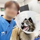 서울수의약품(주) | 수의테크니션 자격증 학위 없어도 가능 평균 월급 확인하기