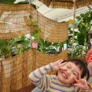 미라농원 | 원주 온실카페 아이와가볼만한곳 :: 훈이네관광농원