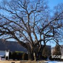 양성 석조여래입상 이미지