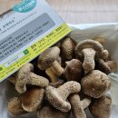 몬스터 농부 이미지