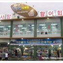 장사항활어직판장 이미지