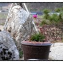 주왕산황토방 이미지